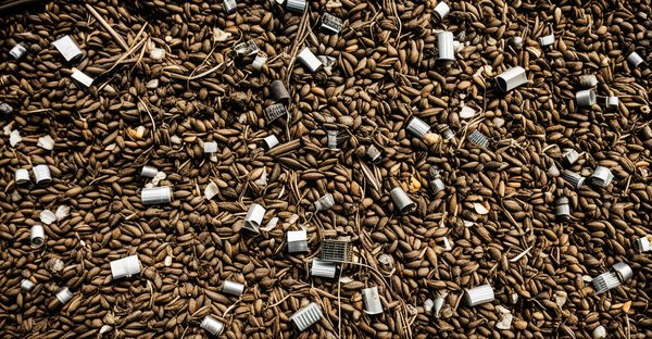 Site spécialisé dans la gestion écologique des déchets pour les pros